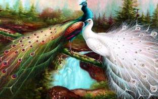 Poster Digital Painting Wall Art Paper Peacock Wall Poster (300 Gsm Matte Paper, 13 X 19 Inch, Multicolour) Fine Art Print