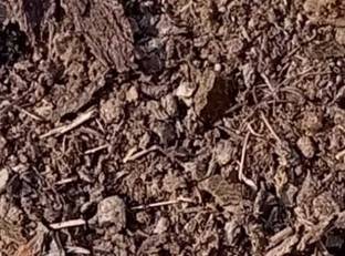 prathvi Jevik khad Manure