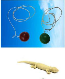 imtion 2 IN 1 ( 1 pcs Chipkali lizard toy + 2 Pcs Hand Rubber ball toy )