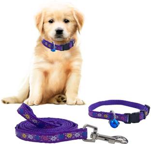 Jainsons Pet Products Dog Cat Nylon Collar & Leash Set 10mm for Durable Adjustable (Color May Vary) Dog Collar & Leash