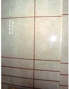 fixostone Epoxy Grout Tile Crack Filler for Floor & Wall (TERRA COTTA Colour) Crack Filler