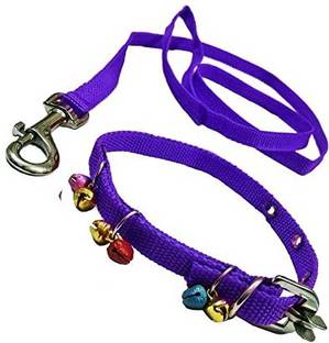 Sip Nylon Dog Belt Combo of blue Ghungroo Collar with blue 1.5m Lengthy 120 cm Dog & Cat Chain Leash