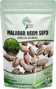 Green India Meliya Dubia / Malabar Neem / Pack of 1 kg Seed