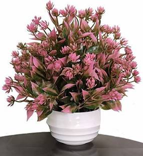 Saikara Collection Artificial Plant For Indoor, Home And Office Decor Bonsai Wild Artificial Plant  with Pot