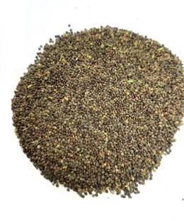 VINARGHYA Khurasani Ajwain / Khorasani Ajwan / Khurasanee ajma / Kuraasanee Yomam