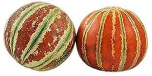 WILLVINE ™KHARBUZA DESI/Muskmelon Seeds Seed