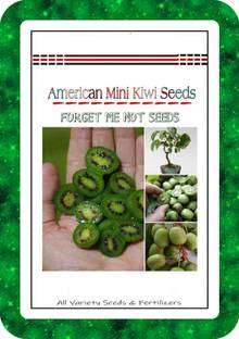 ActrovaX American Mini Kiwi Hybrid Variety High Quality Selected [10gm Seeds] Seed