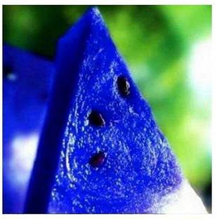 ActrovaX Blue Watermelon Dwarf Potted Fruit [10gm Seeds] Seed