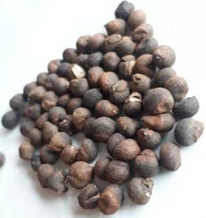 Ravel Semal Seed / Silk Cotton Tree Seed / Bombax Ceiba Seed_25 gm Seed