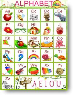 The Alphabets Posters for Kids Learning Paper Print