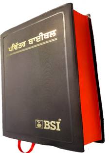 The Holy Punjabi Bible | New Edition Punjabi Bible | Punjabi Bible | Pavitra Punjab Bible | Punjabi Bible Old & New Testament | Full Punjabi Bible |