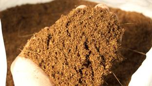 क्लाउड कनेक्ट Cocopeat Powder best potting soil mix soil manure मिट्टी की खाद