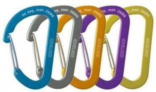 EDELRID Aranya Carabiner (Not for Climbing) Key Chain