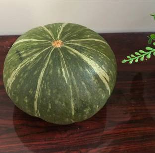 ErTh JAPANESE KABOCHA Pumpkin Seed