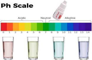 DILOOK pH and orp Drop for pH Testing and Alkaline level, for pH Water Testing with pH Color Chart, pH and orp Test Kit, Litmus liquid (2 Bottle) Analog TDS Meter