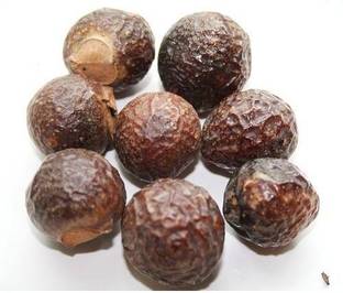 Ravel Sapindus Mukorossi/Indian Soapberry/Washnut/Soapnut/Reetha Tree Seeds_100 gm Seed
