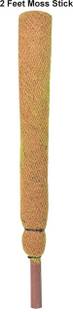 Divine Tree Fibre Moss Stick Pole for Climbing Money Plant (2 Feet) Plant Straightener