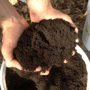 Cloud Connect Pure Organic Vermicompost Fertilizer Manure for Plants Fertilizer