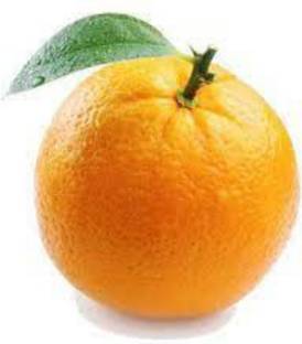 EliteGreen Orange Plant