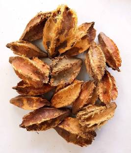 Ravel Terminalia Arjuna/Arjun Tree/Shade Tree Seed/Marudha Maram/Neer Maruthu_500 gm Seed