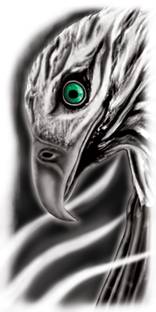 Ordershock Eagle Eye Tattoo Stickers For Male And Female Tattoo