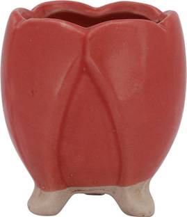 Lyallpur Stores Ceramic Pot For Succulent Plants, 3 Leg Lotus Planter Pot Table Decor Flower Pot Plant Container Set