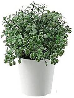 IKEA FEJKA Artifical Potted Plant Pot,in/Outdoor Green, 6 cm (2 ¼ ") Bonsai Artificial Plant  with Pot