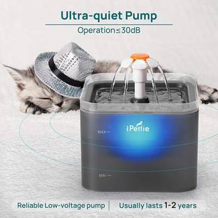 Qpets Plastic Pet Bowl & Bottle
