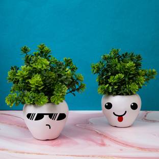 Kawai Homes Artificial Plant with Face set of 2 Pot Set of Kitchen Decoration Bonsai Artificial Plant  with Pot