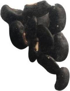 HOIVA Kidney Beans Black (Rajma) Seed