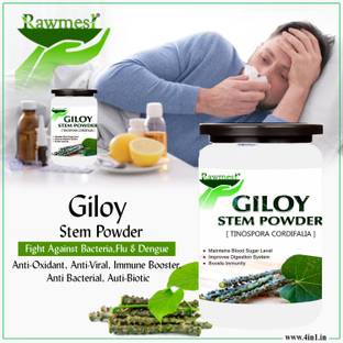 Rawmest Best Quality Giloy Powder/Guduchi/Tinospora cordifola Powder | Immunity support