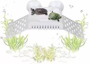AKSHAT ENTERPRISES Basking Area/Stand Reptiles Platform Aquarium Tool