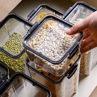 NEXTVIEW Plastic Grocery Container  - 700 ml