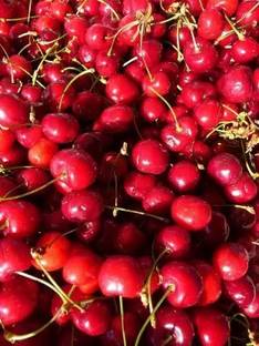 MAA Cherry, Sweet Cherry Seed