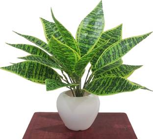 BAARIG Bonsai Artificial Plant  with Pot