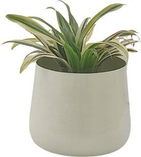 Advi Decorative Stylish Table Top Flower Pot Metal Planter Indoor, Pack of 1,Cream Plant Container Set