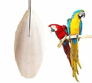 Sage Square Natural High Calcium Source Cuttlebone Fish for Birds, Parrot (200grm) Fish Bird Chew