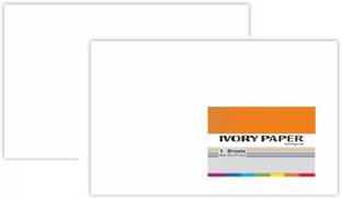 First Click Ivory Papers Chart paper Drawing Paper Sheet 300 GSM Pack of 2 pcs Unruled 56x71 cm 300 gsm Drawing Paper