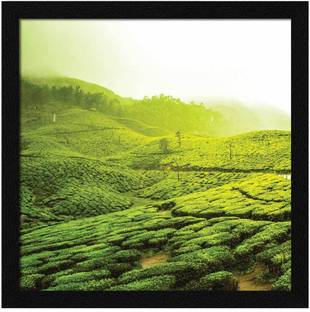 Jitesh Arts Wood Wall Photo Frame