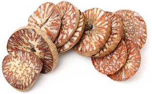 EliteGreen Betel Nut/Supari Plant