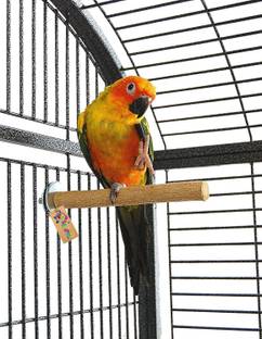 Western Era Perch/Stand Bird Toy for Medium Birds (8 Inches) Bird Cage