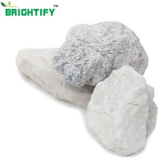Brighty 1kg non roasted bentonite clay bhutdo Soil