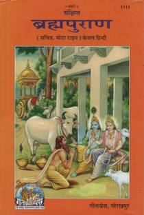 Samkshipt Brahm Puran (Only Hindi) Code 1111