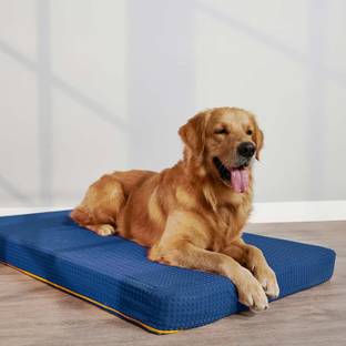 SleepyCat Dog Bed, Splash Resistent M Pet Bed