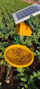 VGT INDIA VGT Solar Light Insect Traper Garden Tool Kit