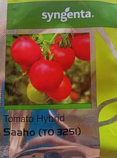 syngenta Tomato Seed