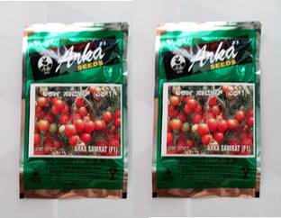 SM Exports tomato Seed