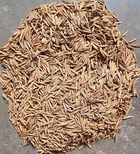 sharpvaishno KADWA INDRA JAU Seed