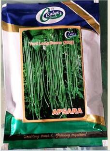 CALYXSEEDS : APSARA-9, IMPROVED YARD LONG BEANS, LAFFA, BARBATI Seed