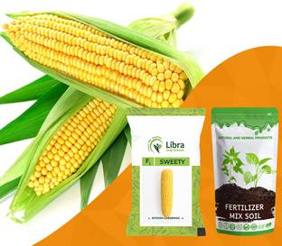 NATURAL AND HERBAL PRODUCTS Sweet Corn Seeds for Home Garden | Hybrid | Farming | Planting | Makai | Dodo Seed